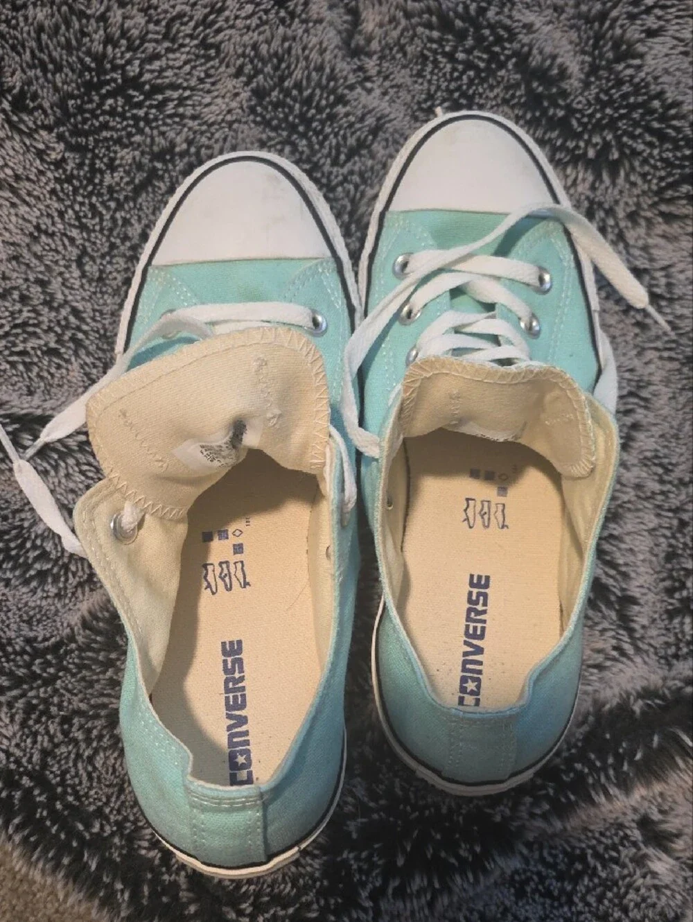 Converse Women's Low Top Canvas Sneakers in Aqua